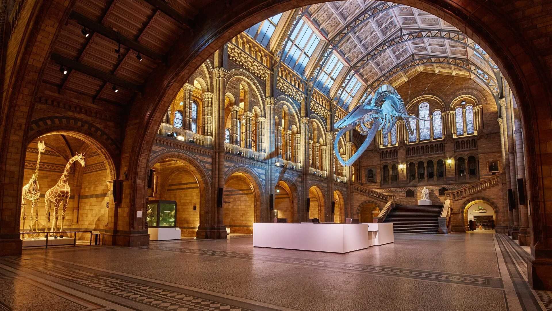 Ein geräumiger Saal mit hohen Gewölbedecken, Rundbogenportalen und einer großen Skulptur.