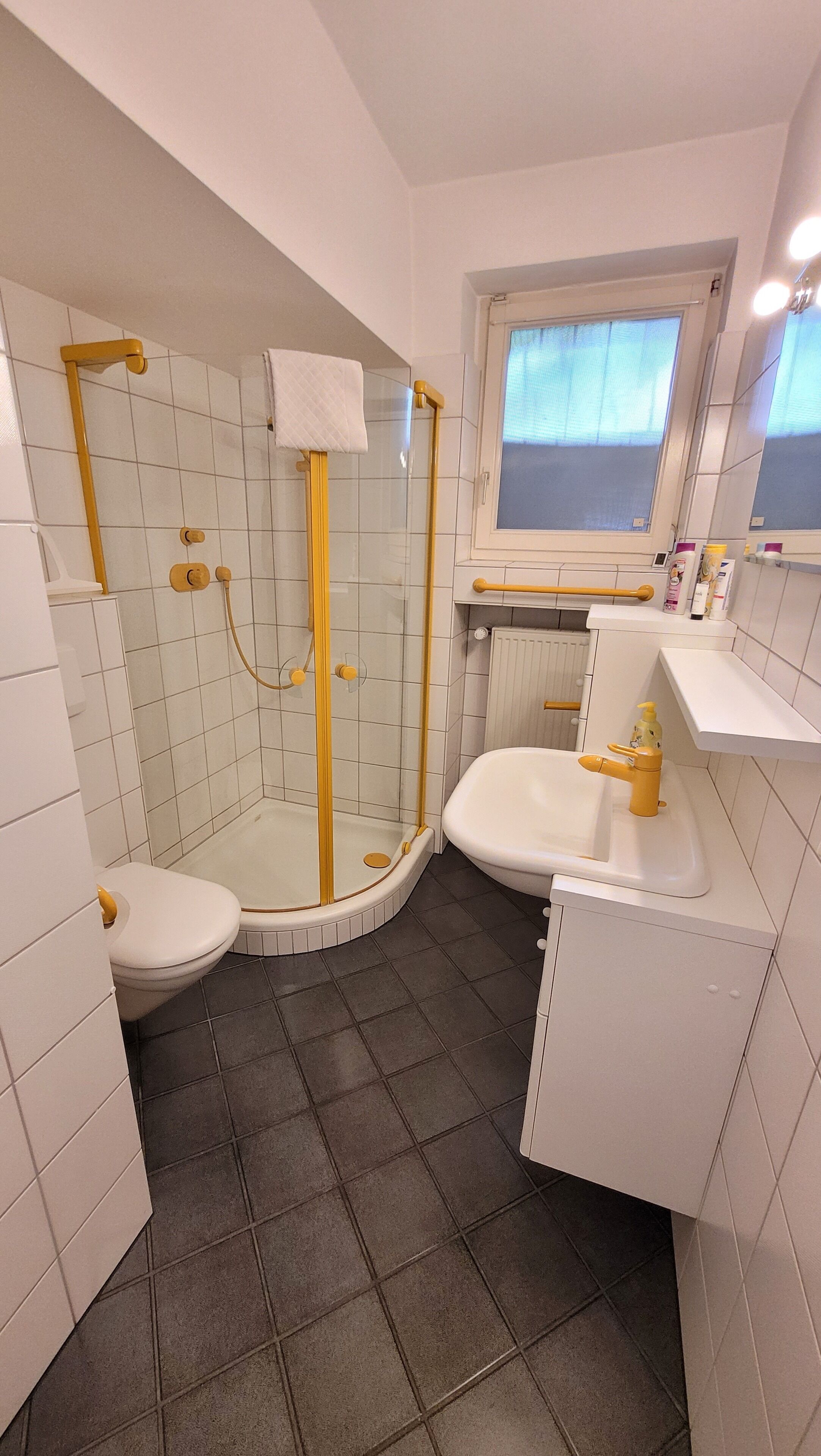 Dusche, Haartrockner, Handtücher, Seife