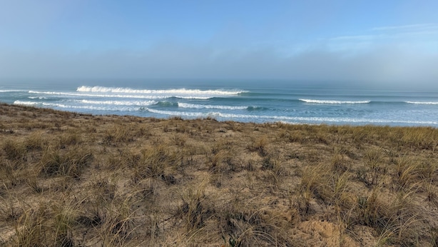 A beach with waves, dry grass, and a clear sky.