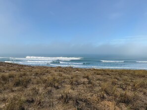 A beach with waves, dry grass, and a clear sky.