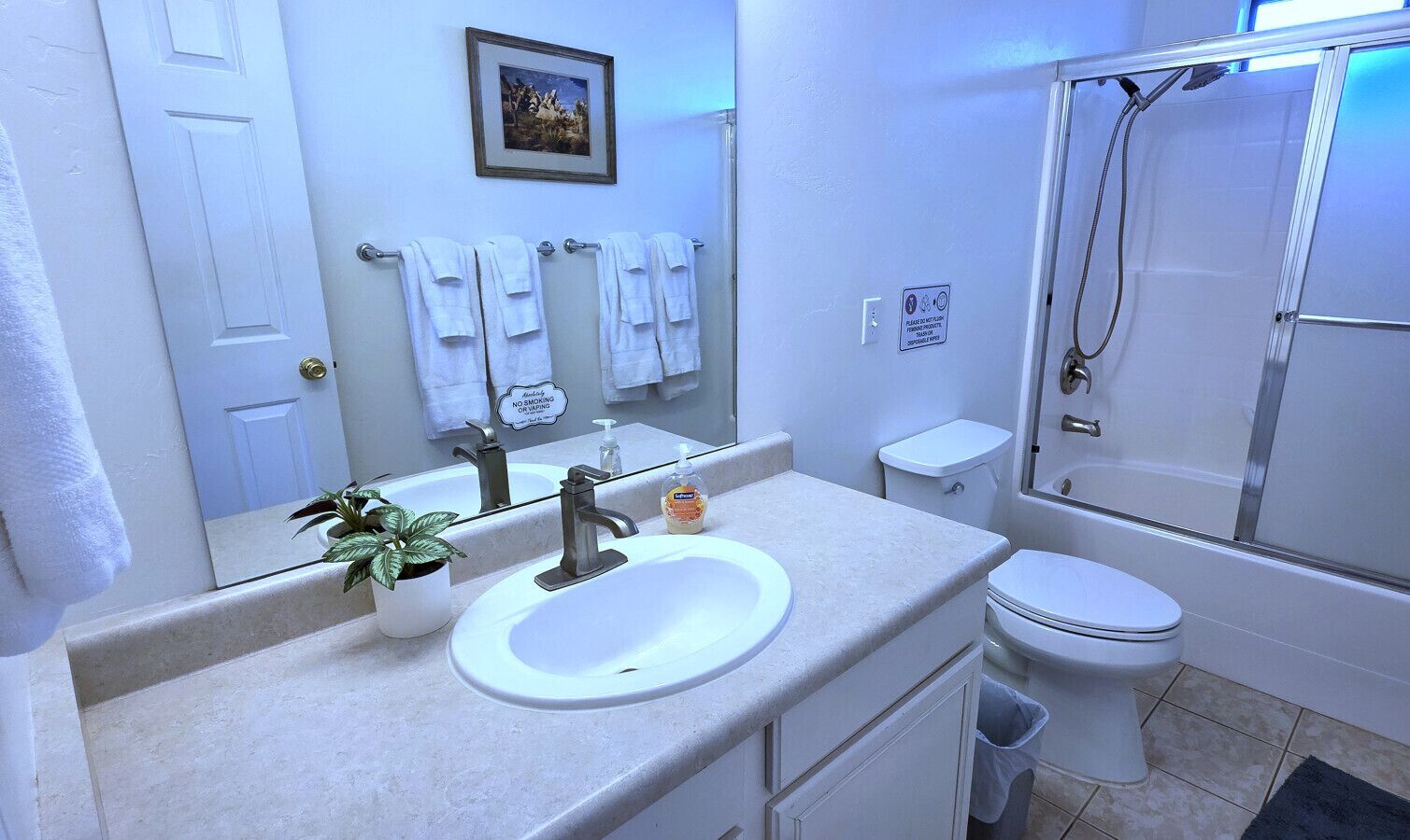 Hair dryer, towels
