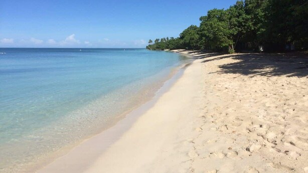 Una playa con agua cristalina, orilla arenosa y árboles.