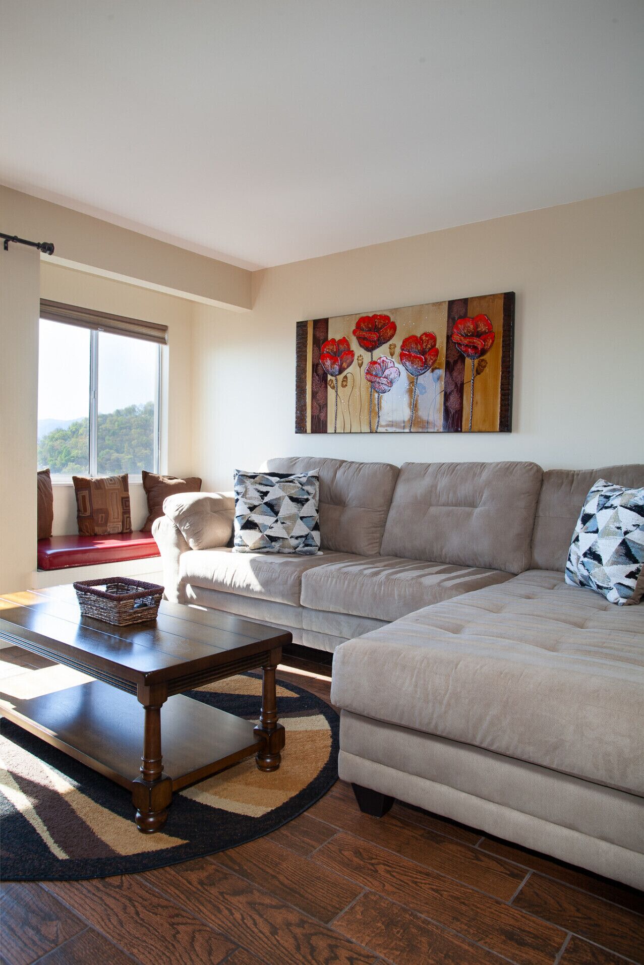TV, fireplace, DVD player