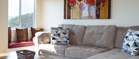 TV, fireplace, DVD player