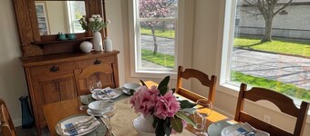 Spacious downtown oasis, free parking & laundry