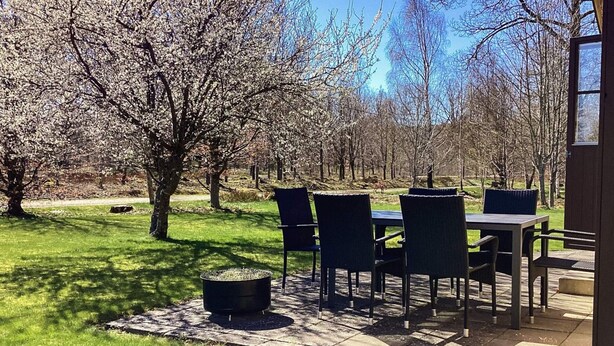 A patio with a table and chairs, surrounded by trees and a grassy lawn. - 6 Person Holiday Home in Ljungbyhed (Ljungbyhed)