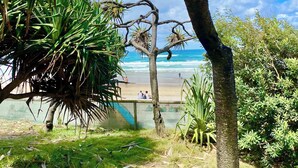 Un entorno tropical con vista a la playa, una palmera y una zona cubierta de césped.