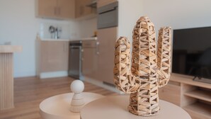 A modern kitchen with wooden cabinets, a built-in oven, and a television. - Elegant new T2 with sea view, pool and gym in a refined setting. (Mandelieu-la-Napoule)