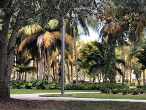 A park with palm trees, a pathway, and a bench. - GROVE27-01 | stay near Miami's chic neighborhood (Miami)