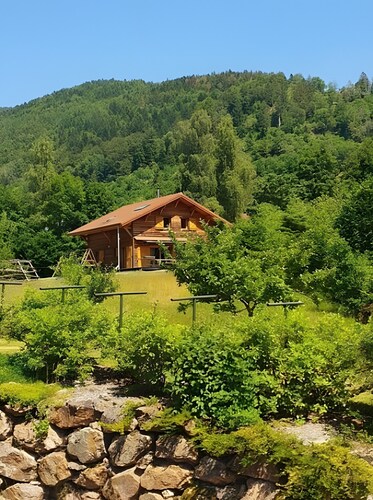 Chalet 12 personnes avec étang - 5 chambres - kotta