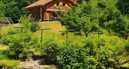 Chalet 12 personnes avec étang - 5 chambres - kotta