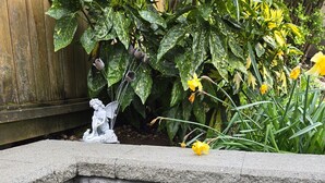 A stone planter with a fern plant and a statue.