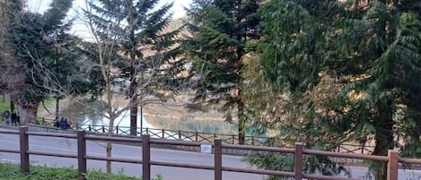 A park with a wooden fence, trees, and a road.