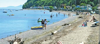 Luxury Maple Beach Waterfront King apartment-Ground Floor only 50 feet to Beach.