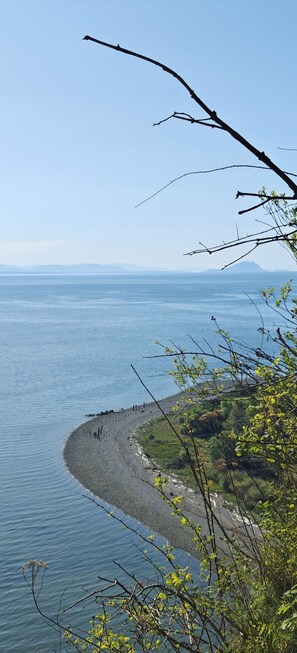 Beach - Deluxe Maple Beach Waterfront large King ensuite bedroom apartment-Ground Floor (Point Roberts)