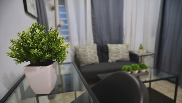 Uma sala de estar moderna com uma mesa de centro de vidro, um vaso com planta, um sofá preto e uma pequena mesa lateral.