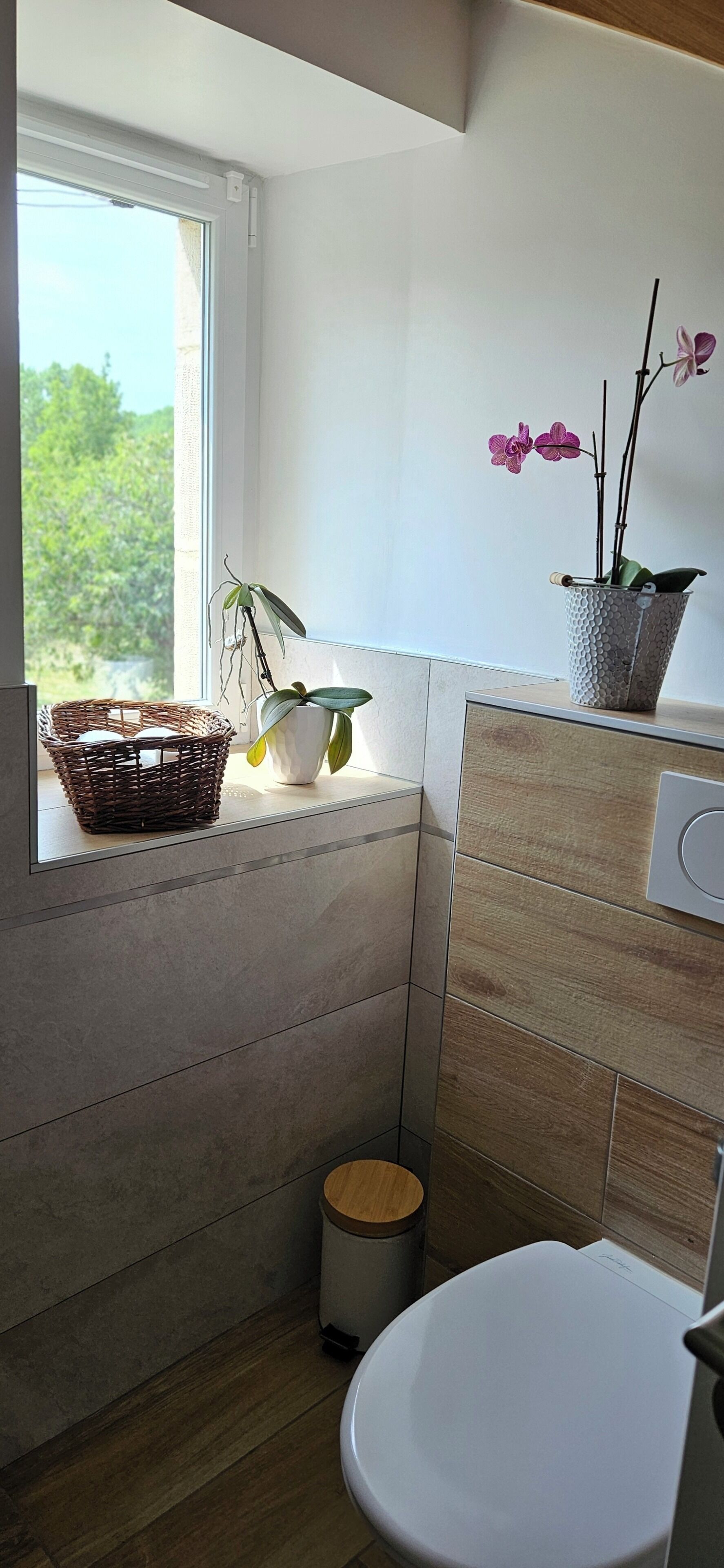 A bathroom with a window, a sink, a toilet, a trash bin, and a small potted plant.