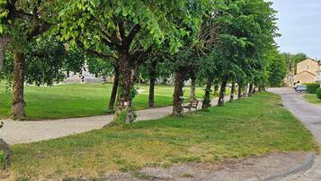 Property grounds