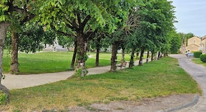 Un sendero bordeado de árboles, una zona verde y un edificio al fondo.
