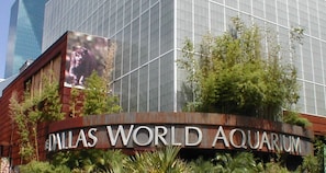 Exterior - Heart of Dallas in Knox Henderson Sleeps 4 (Dallas)