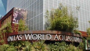 Das Hilton World Aquarium mit großer Glasfassade und einem gut sichtbaren Schild.
