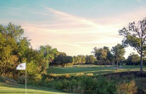 Golf - 5-bd Vacation Retreat w Pool & Ping Pong! (Fort Worth)