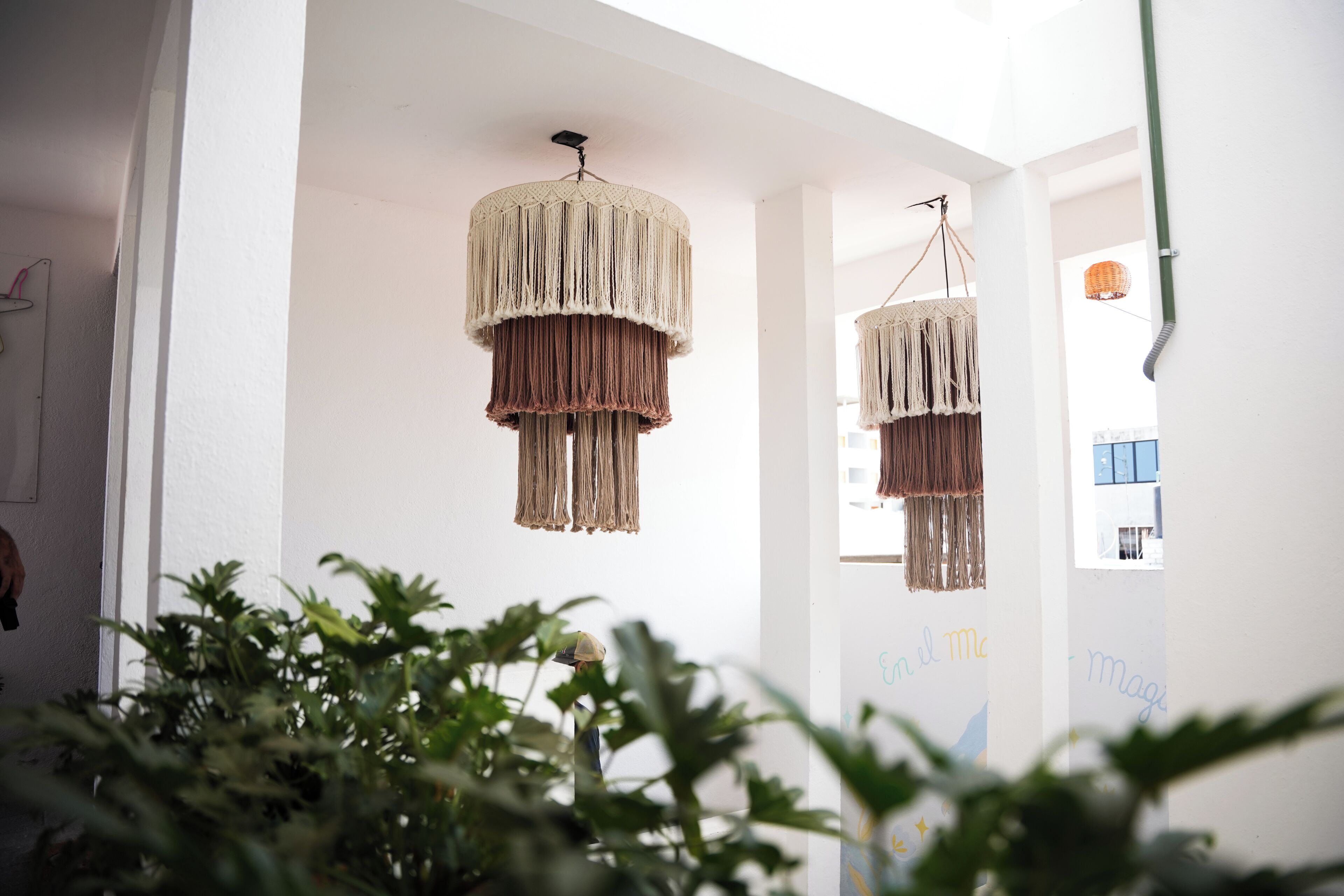 A hallway with two macramé pendant lights, white walls, and a plant in the foreground.