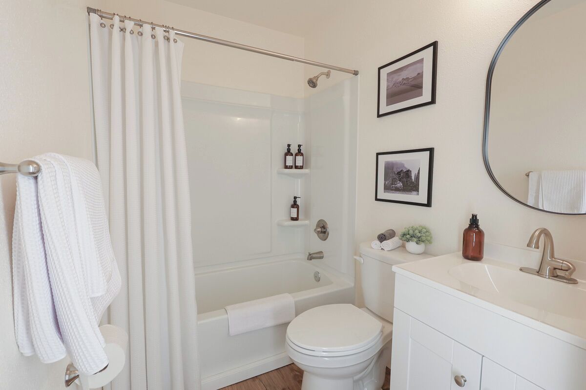 Combined shower/bathtub, hair dryer, towels, soap
