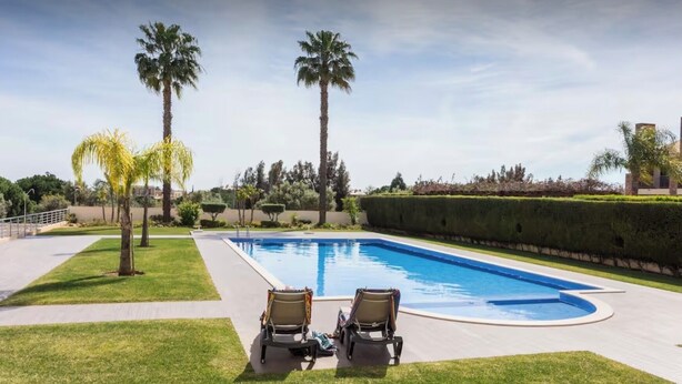 Una piscina con dos sillas reclinables, palmeras y un césped cuidado.