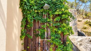 A wooden gate with a metal lock, partially covered by green ivy.