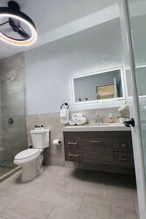 Dusche, Haartrockner, Handtücher, Shampoo