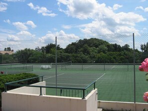 Terrain de sport