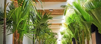 Hotel El Mejor