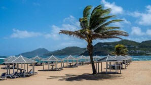 Une plage avec des parasols, des chaises longues et un palmier.