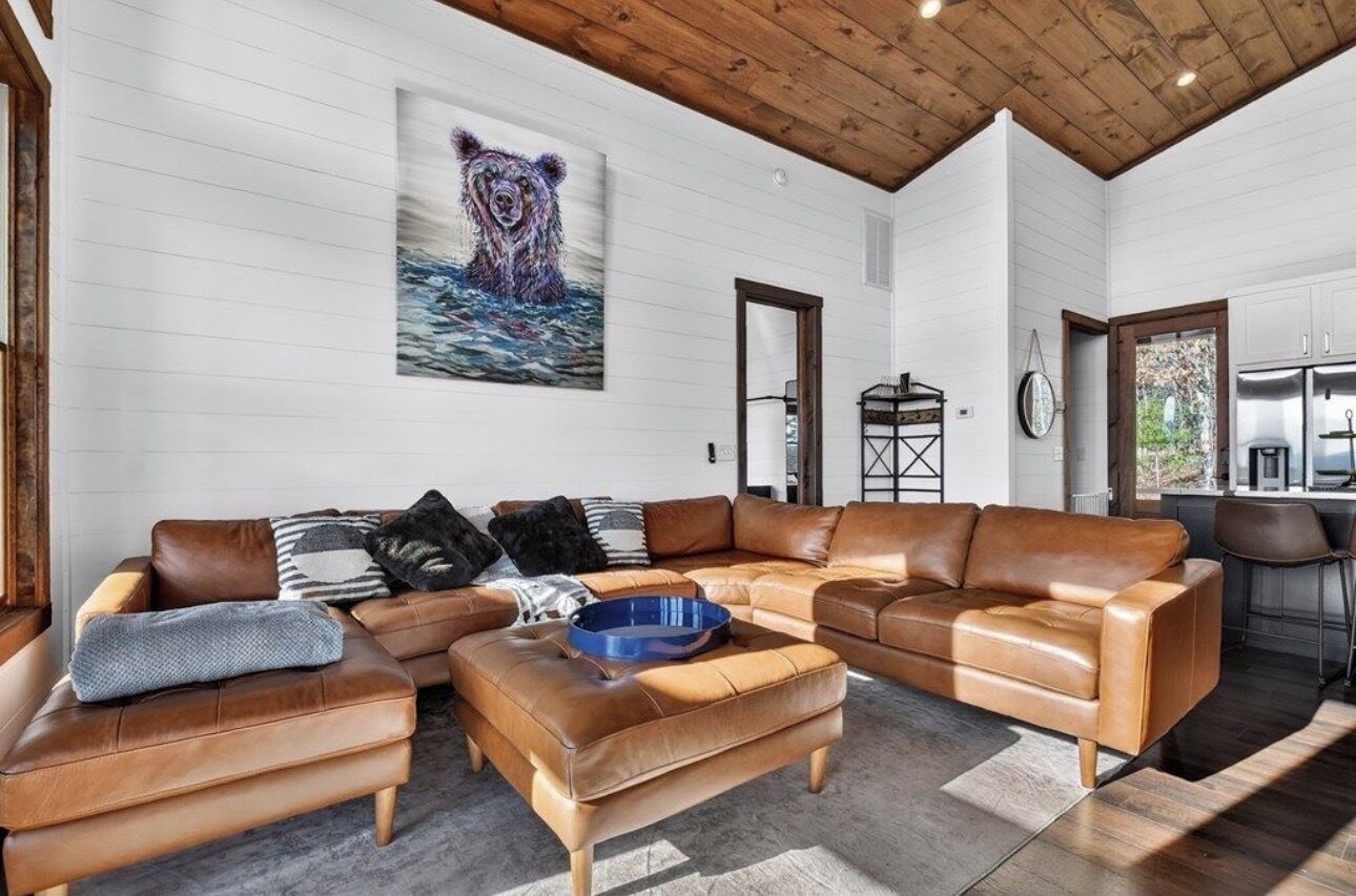 Smart TV, fireplace, music library, computer monitors