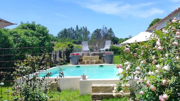 Ein Pool mit Liegestühlen, umgeben von Grünpflanzen und einer Steinmauer.