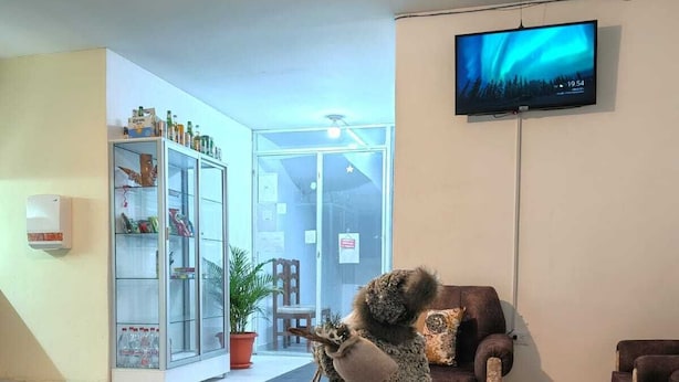 Una sala de estar con un televisor montado en la pared, un sofá, una estatua decorativa de un perro sobre una mesa y un aparador de vidrio con objetos en el suelo.
