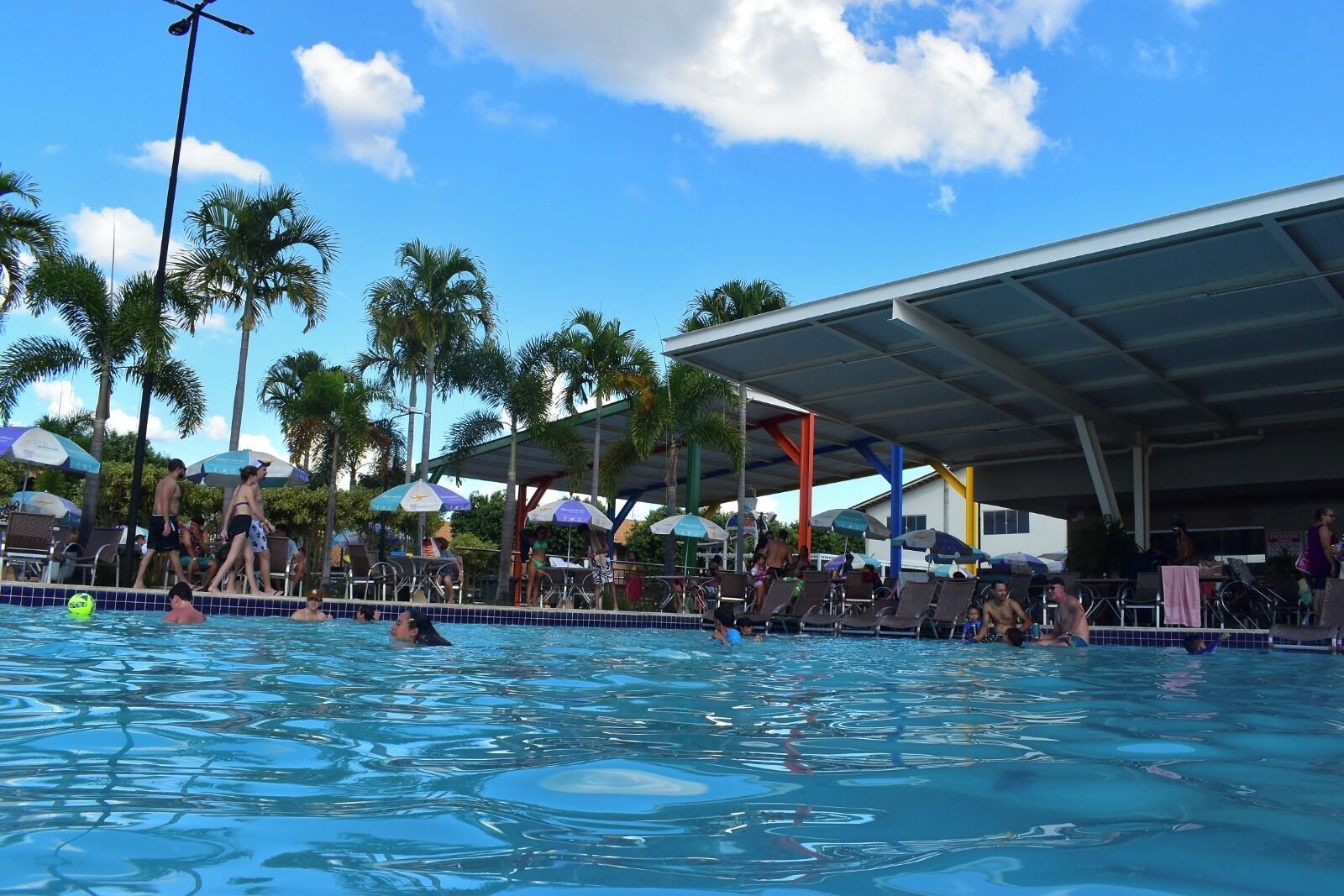 A swimming pool with people, palm trees, and umbrellas.