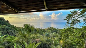 Un paysage verdoyant et luxuriant, avec une vue sur l’océan sous un ciel dégagé.