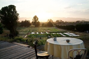 Opções para refeição ao ar livre