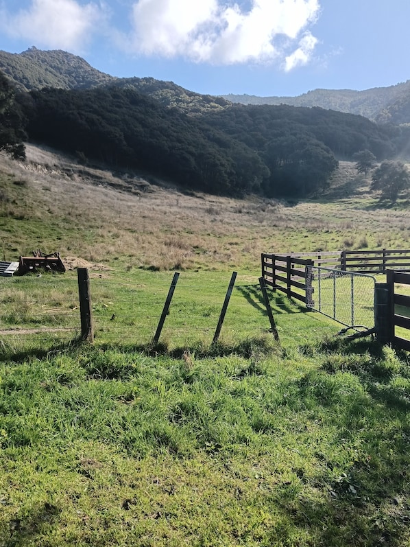 Un champ verdoyant, délimité par une clôture en bois, avec un portail en métal et une chaîne de montagnes qui se dessine à l’horizon.