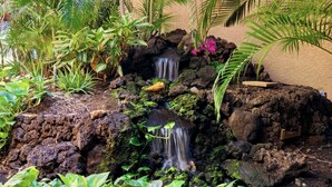 A garden with a small waterfall, surrounded by various plants and rocks. - Beautiful remodeled Kihei Condo next to the Beach! (Kihei)