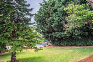 Ein Garten mit verschiedenen Bäumen und einer Rasenfläche.
