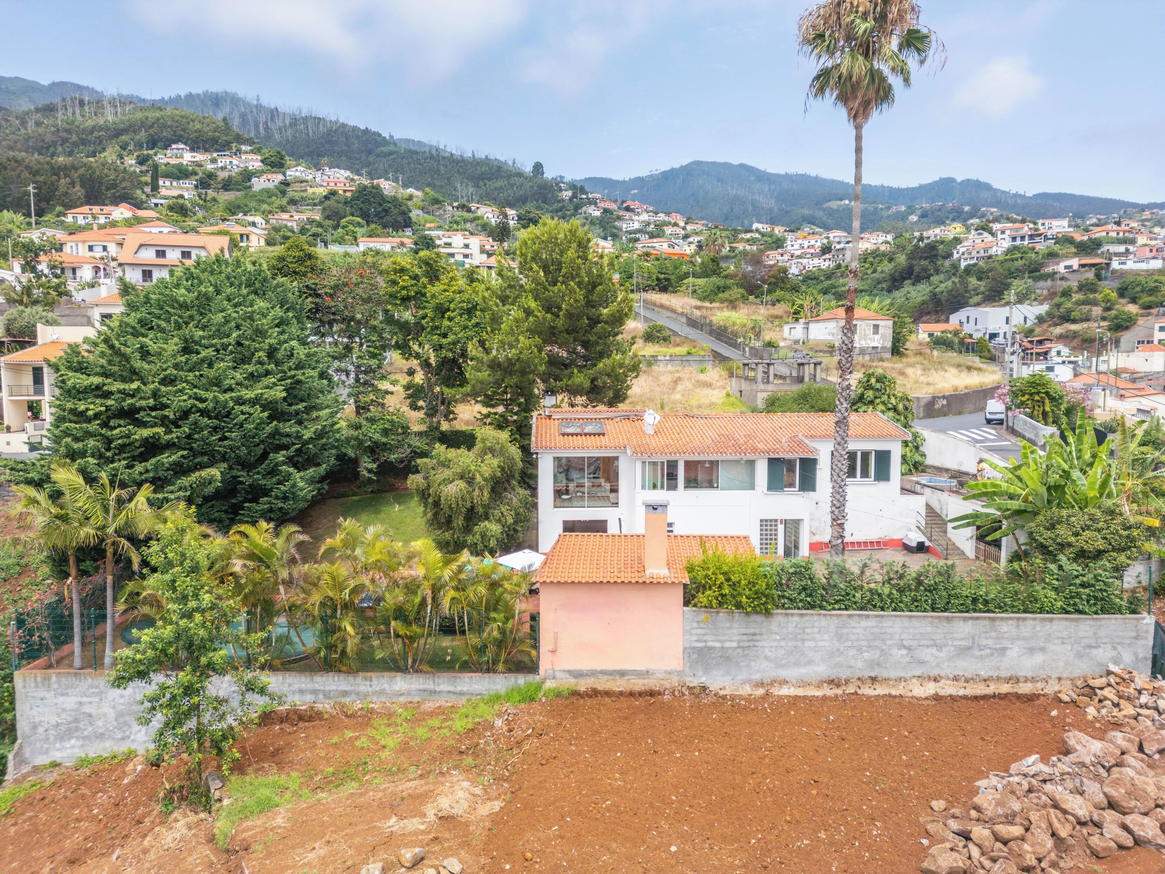 A residential area with houses, a palm tree, and a hillside in the background.