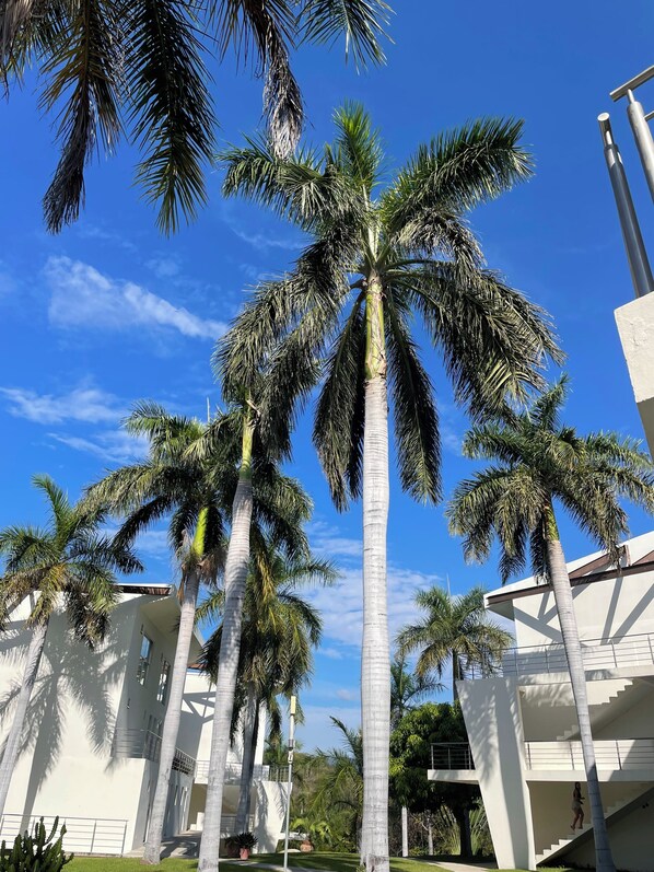 Unterkunftsgelände