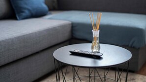 Een moderne woonkamer met een grijze bank, een ronde zwarte salontafel en een afstandsbediening.