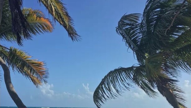 Una playa con agua turquesa cristalina, palmeras y rocas.