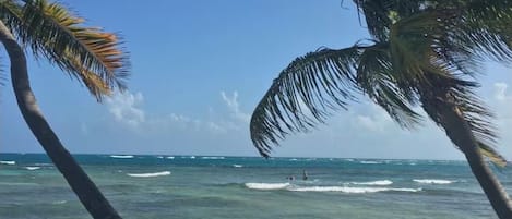 Playa