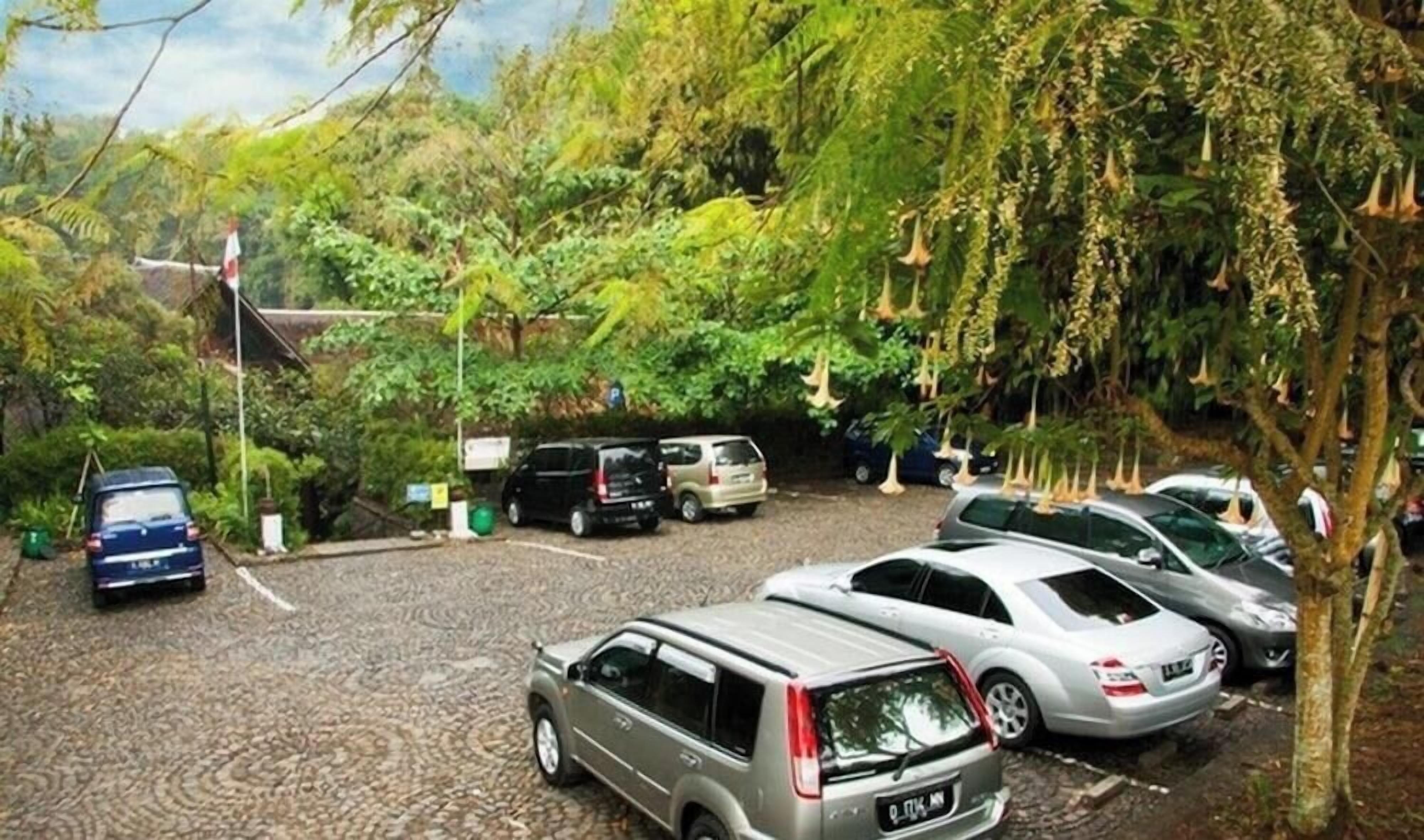 A parking area with multiple cars, surrounded by trees and greenery.