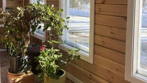 Una habitación con paredes de madera, ventanas amplias y plantas en macetas.